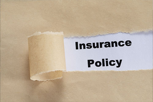 Top Wellington Insurance Policies