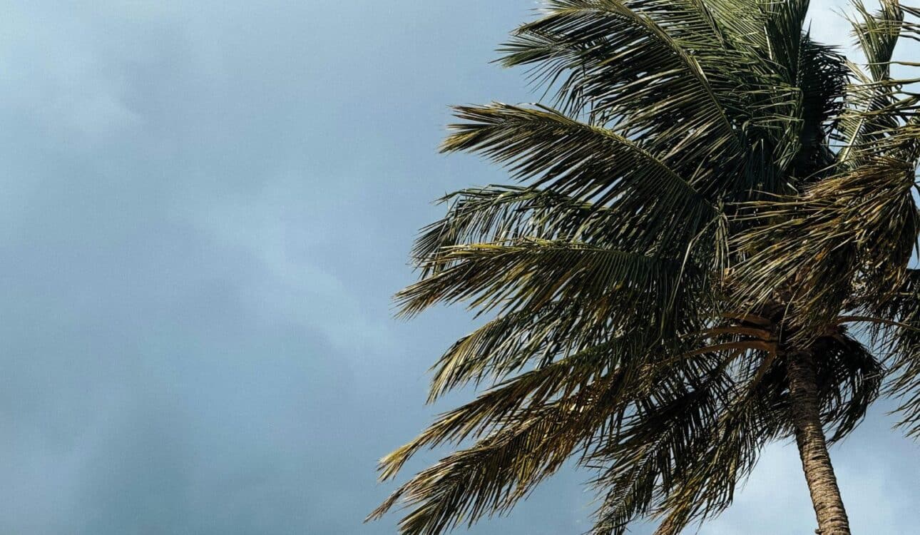 Hurricane Season Insurance Steps to Protect Home and Business