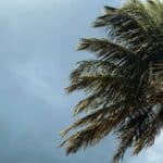 Hurricane Season Insurance Steps to Protect Home and Business