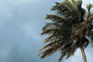 Hurricane Season Insurance Steps to Protect Home and Business
