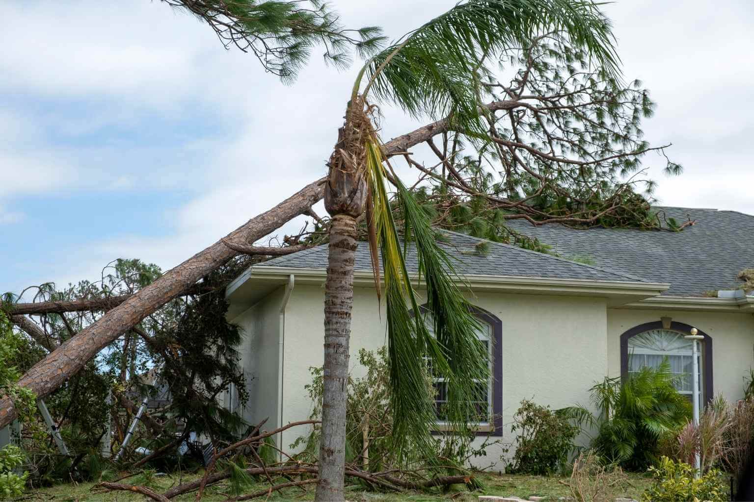Does Homeowners Insurance Cover Wind Damage