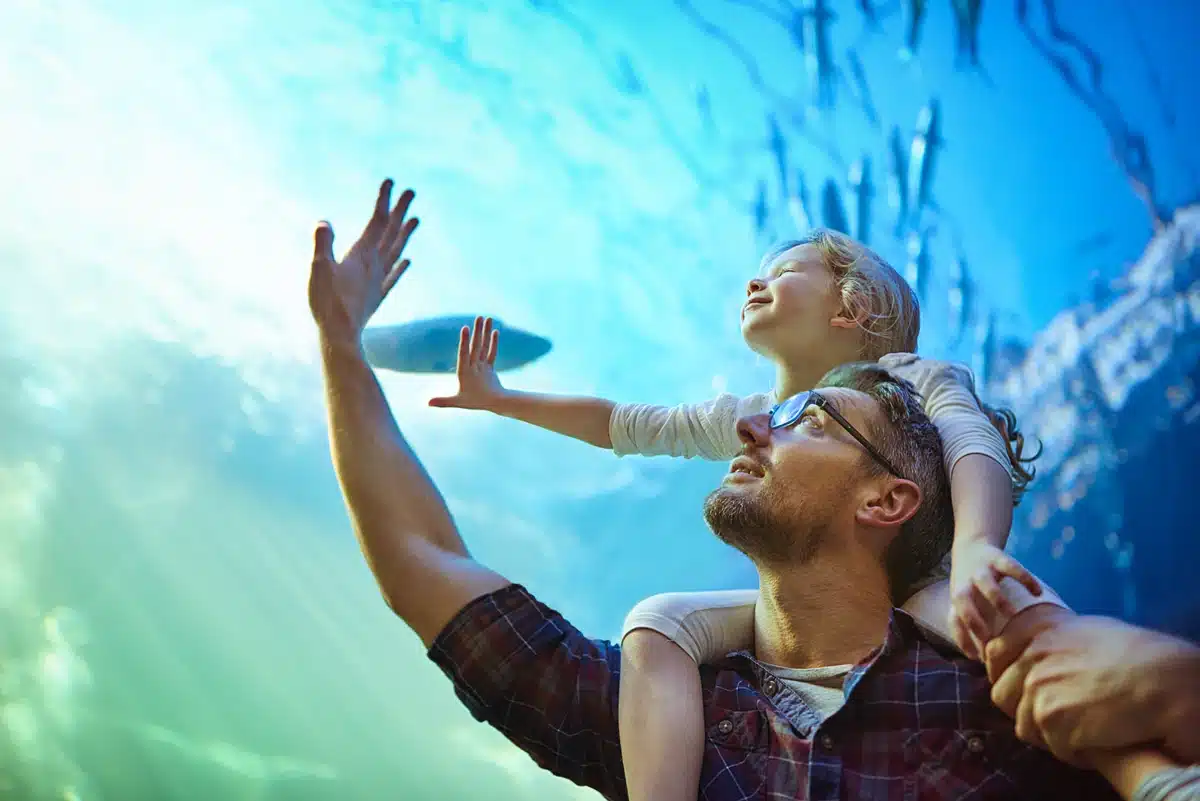 Family Life Insurance Argyle Texas