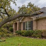 Fallen tree damaging a brick home’s roof, illustrating homeowners insurance coverage for tree damage