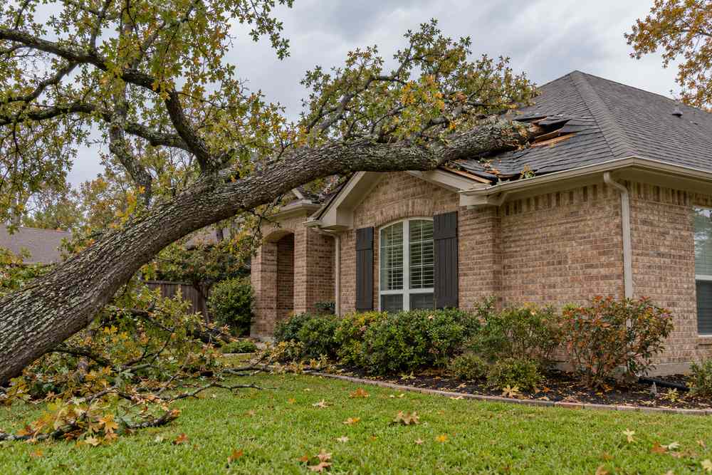 Fallen tree damaging a brick home’s roof, illustrating homeowners insurance coverage for tree damage